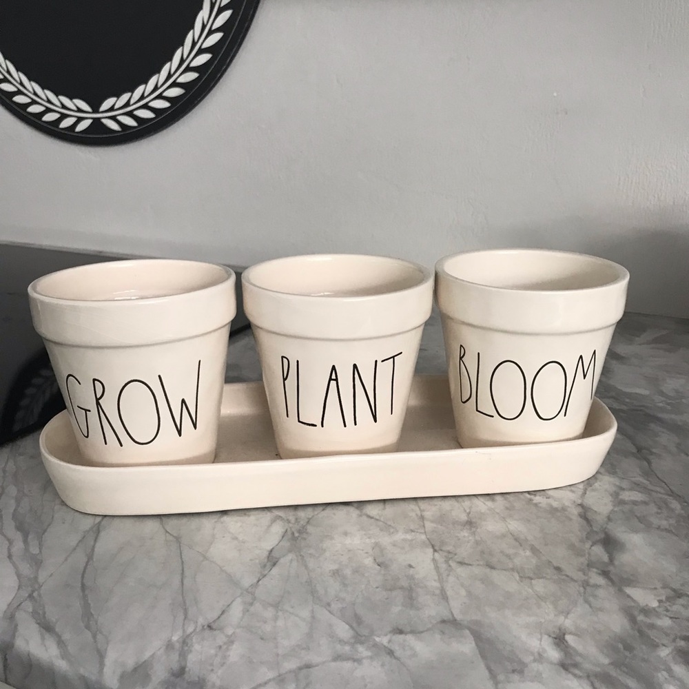 Rae Dunn grow plant bloom set